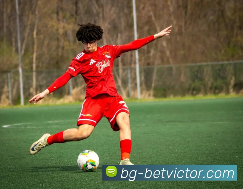 伟德1946官网APP 高清赛事图